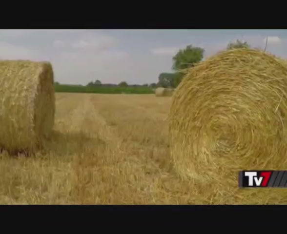 Carica il video: La storia di antichi granai in tv
